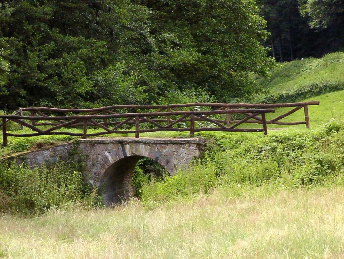 Schoenblick - Gemuetlich Uebernachten! Ober-Hambach Eksteriør bilde